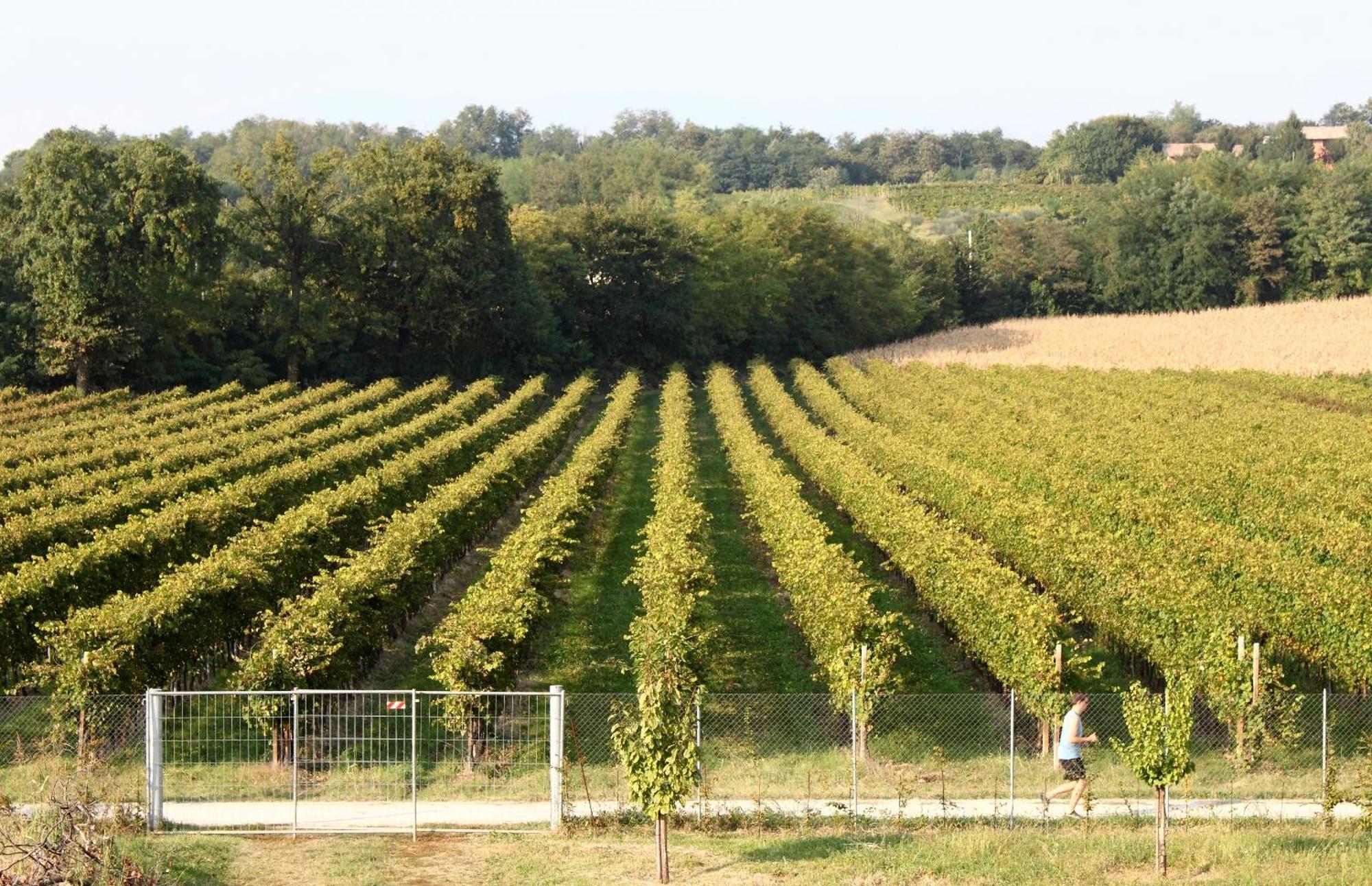 Caspineda Agriturismo Montebelluna Eksteriør billede
